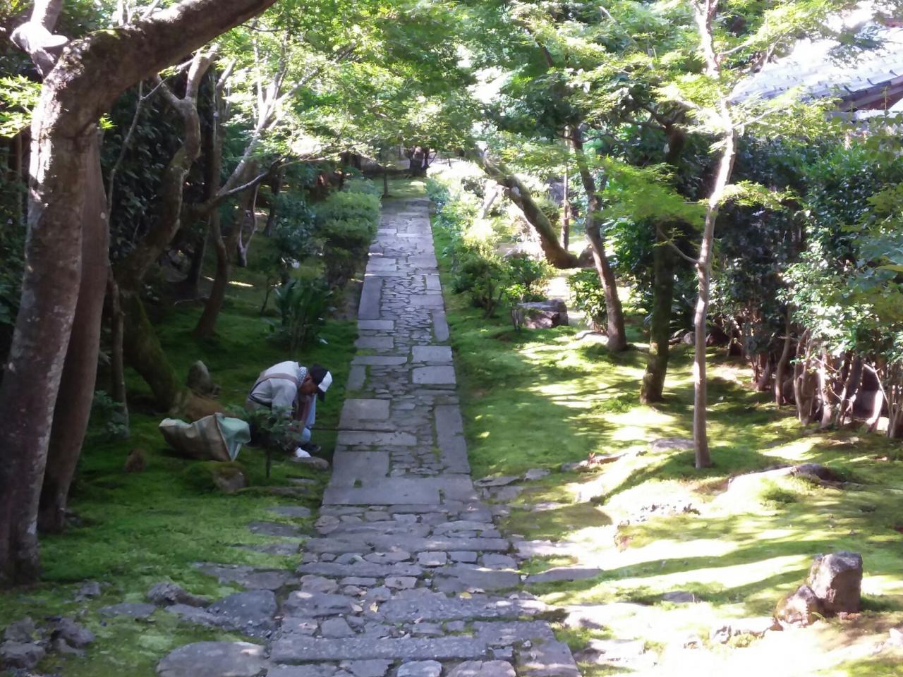 Jardins du Ryoan-Ji