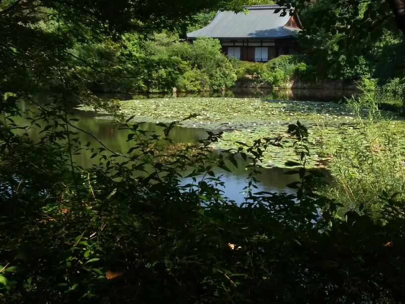 Jardins du Ryoan-Ji