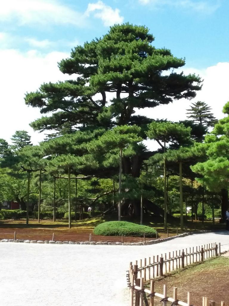 Jardins Kenroku-en, Kanazawa