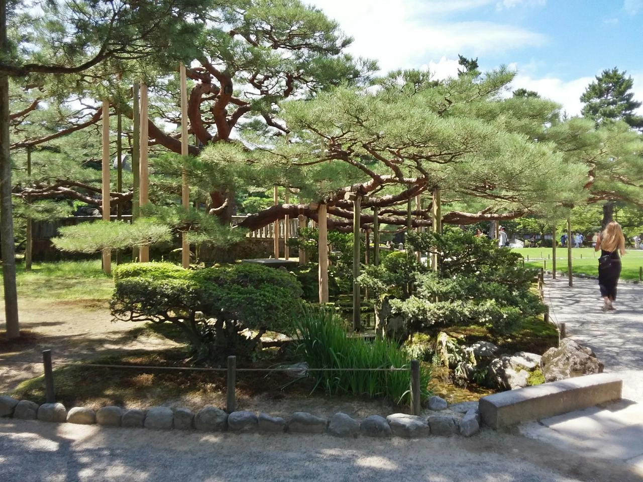 Jardins Kenroku-en, Kanazawa
