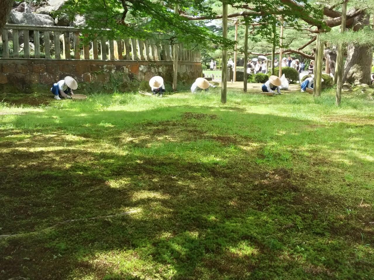 Armée de nettoyeurs dans les jardins Kenroku-en, Kanazawa