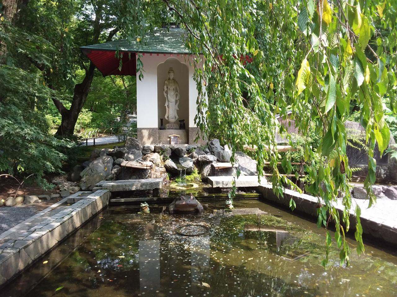 Dans les jardins du temple Tenryû-Ji, Arashiyama