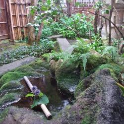 Jardin de la maison de samouraïs Nomura