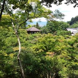 Vu du haut des jardins du GinKaKu-Ji